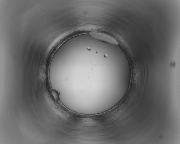X0000110930392200907021528