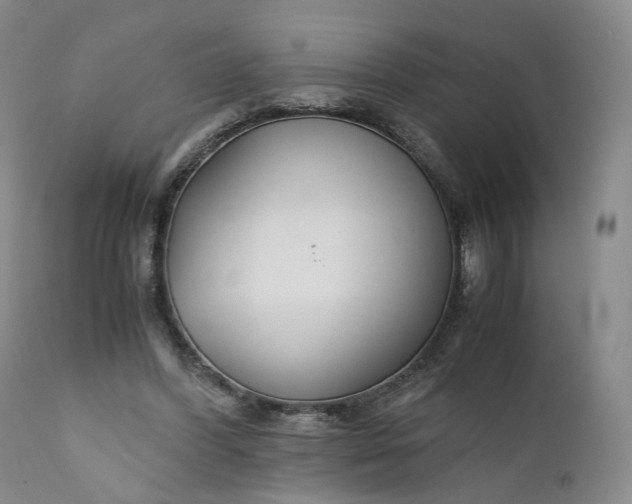 X0000110930396200907021528