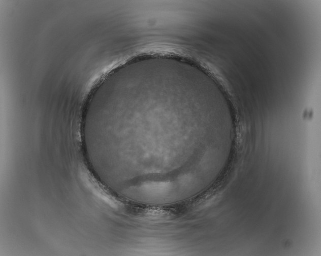 X0000110930399200907021528