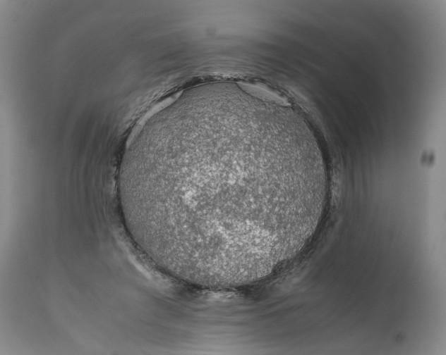 X0000110930401200907021528