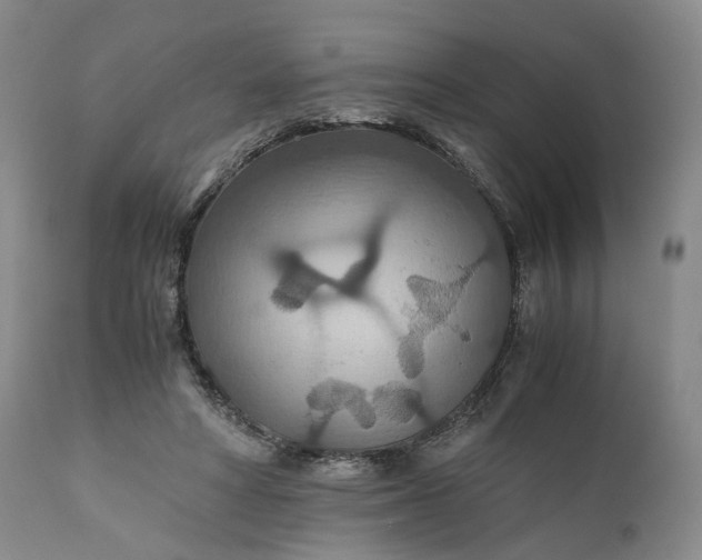 X0000110930402200907021528