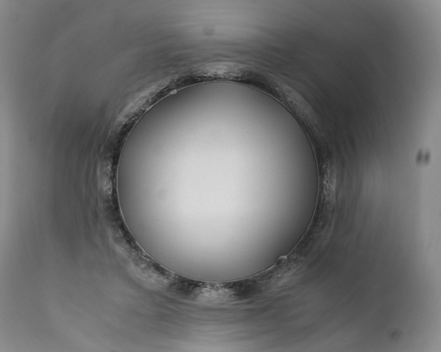 X0000110930403200907021528