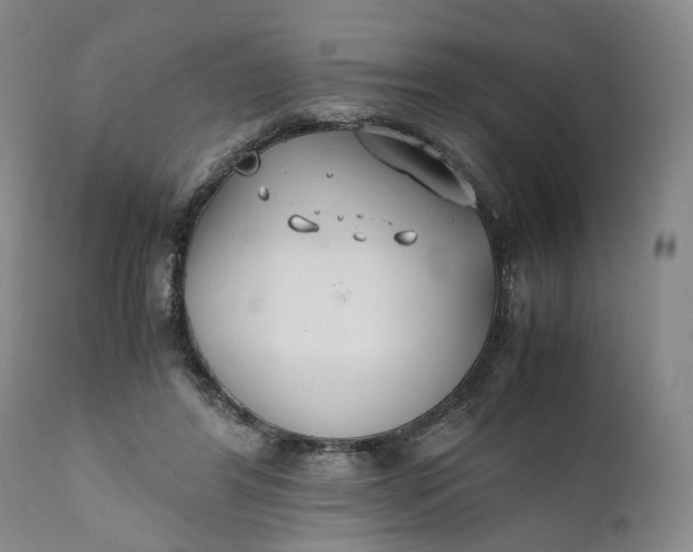X0000110930404200907021528