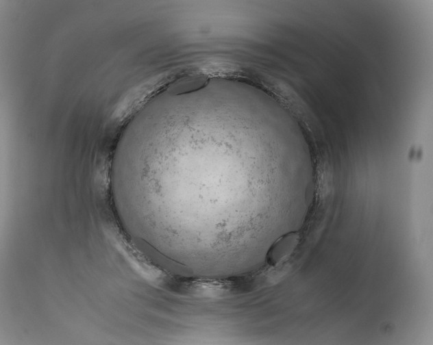 X0000110930405200907021528