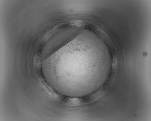 X0000110930409200907021528