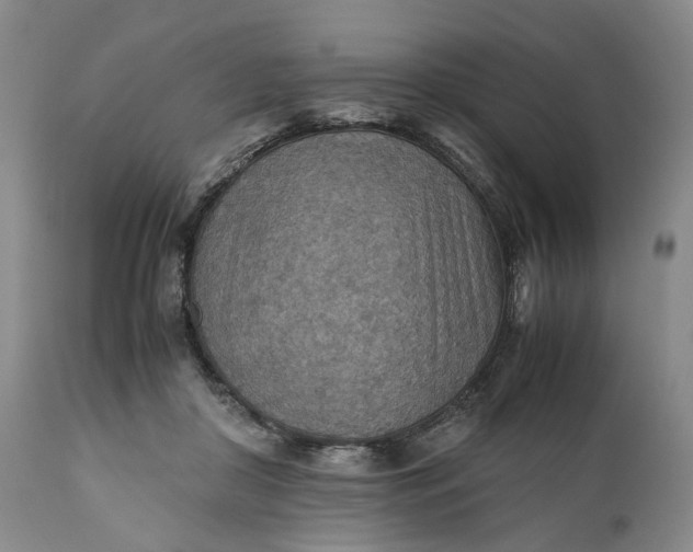 X0000110930410200907021528