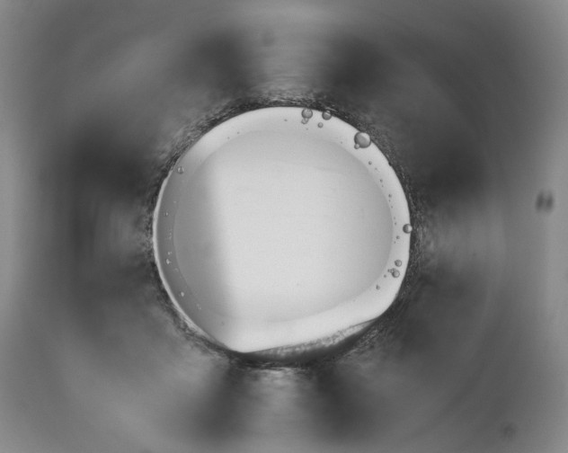 X0000110930411200907021528