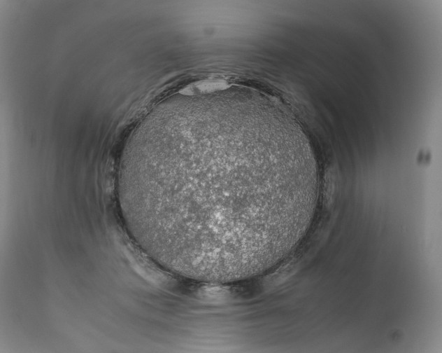 X0000110930413200907021528