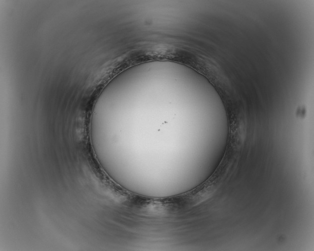 X0000110930416200907021528