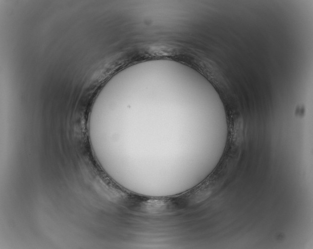 X0000110930418200907021528