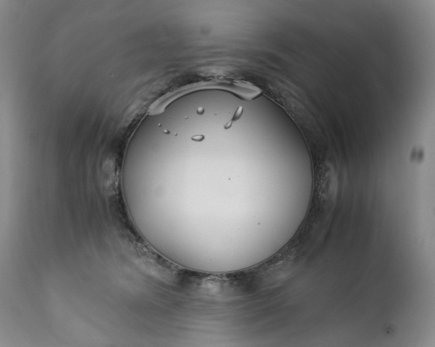 X0000110930420200907021528