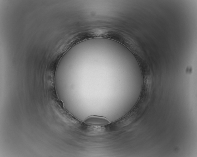 X0000110930421200907021528