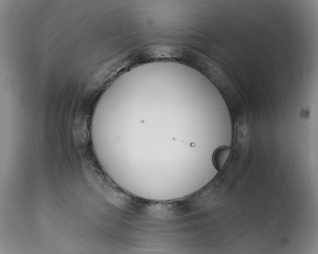 X0000110930422200907021527