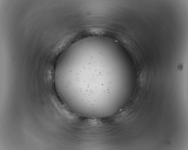 X0000110930424200907021527