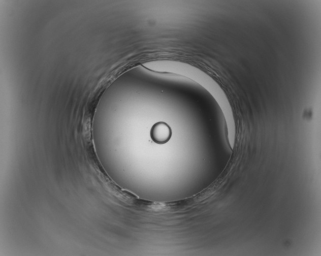 X0000110930425200907021527