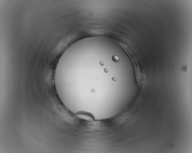 X0000110930428200907021527