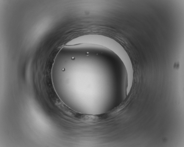 X0000110930429200907021527