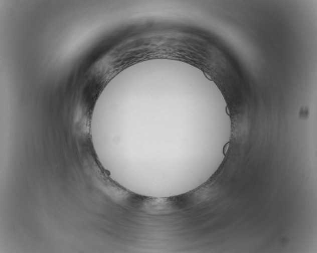 X0000110930431200907021527