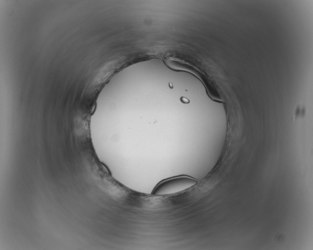 X0000110930432200907021527