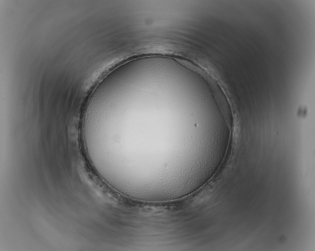 X0000110930434200907021527