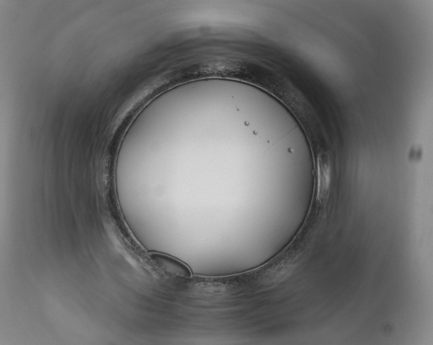 X0000110930435200907021527