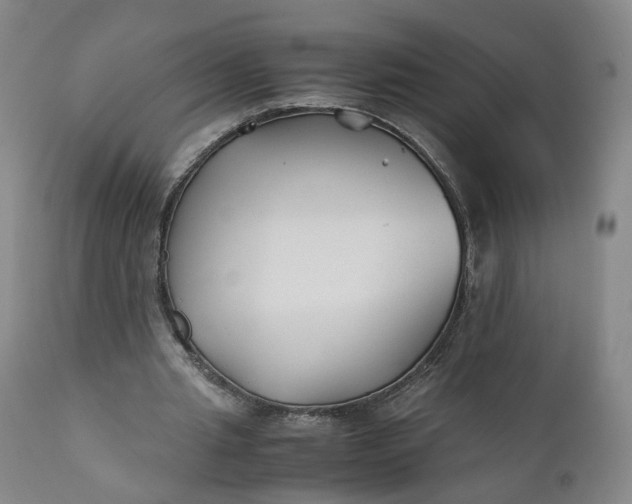 X0000110930437200907021527