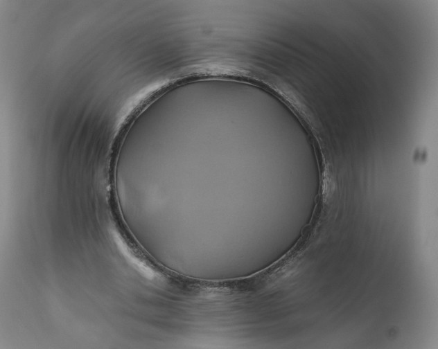 X0000110930438200907021527