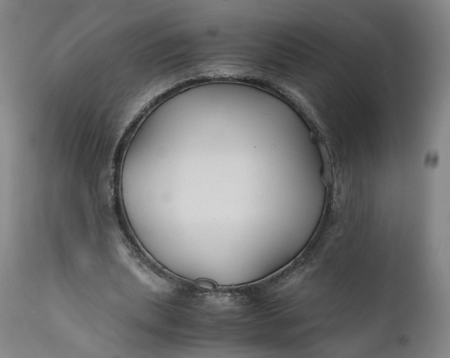 X0000110930439200907021527