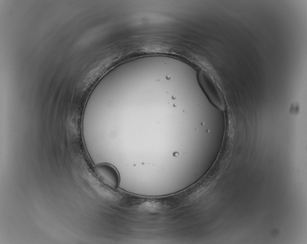 X0000110930441200907021527