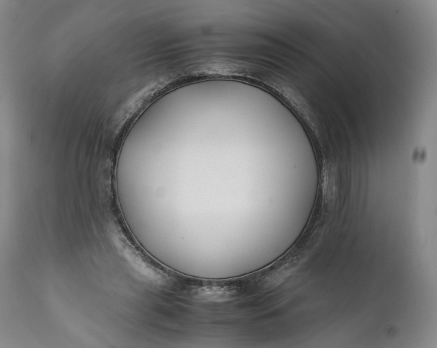 X0000110930445200907021527
