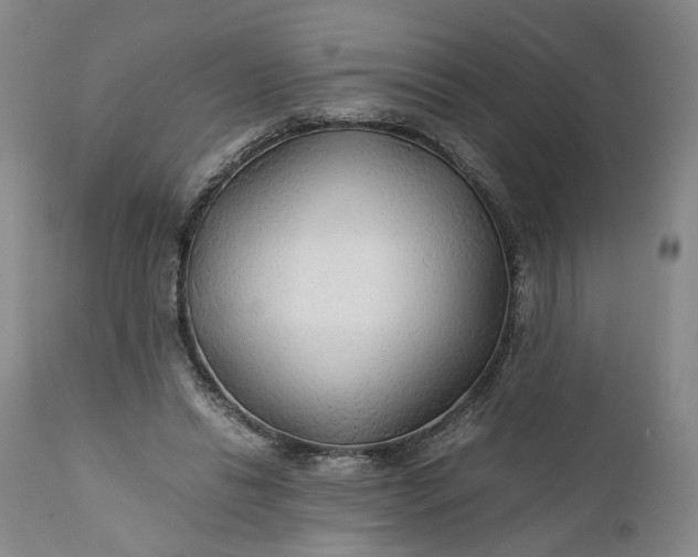 X0000110930446200907021527