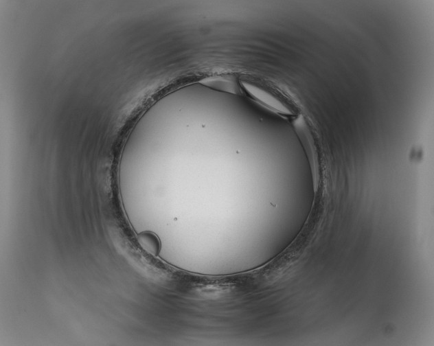 X0000110930447200907021527