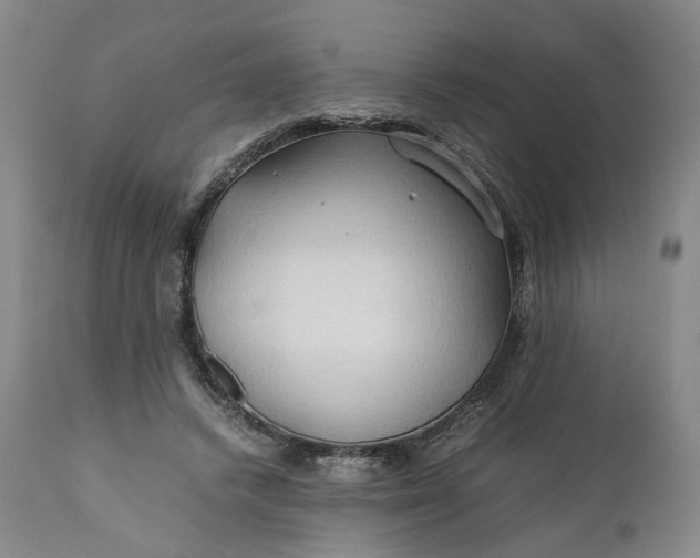 X0000110930448200907021527
