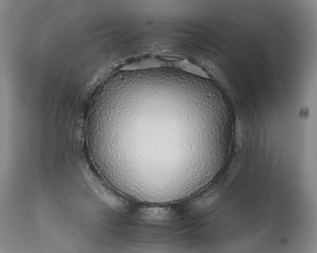 X0000110930449200907021527
