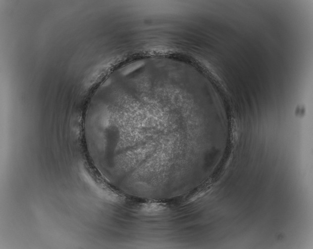X0000110930451200907021527