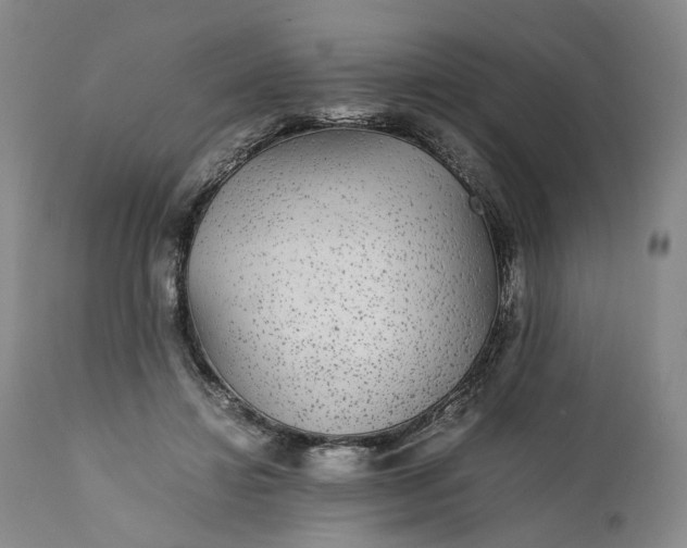 X0000110930452200907021527
