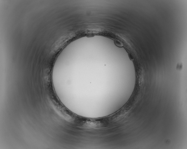 X0000110930455200907021527