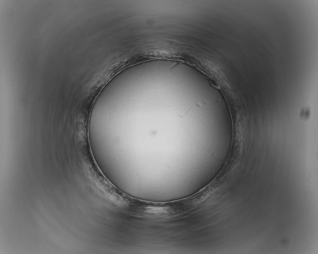 X0000110930457200907021527