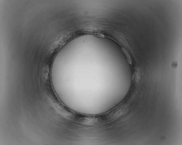 X0000110930458200907021527