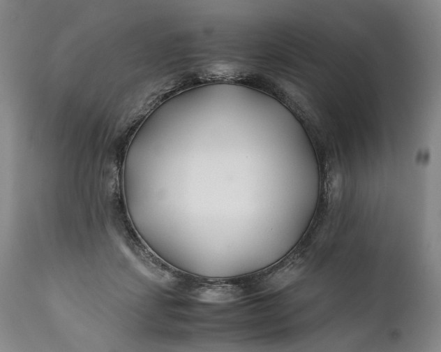 X0000110930459200907021527