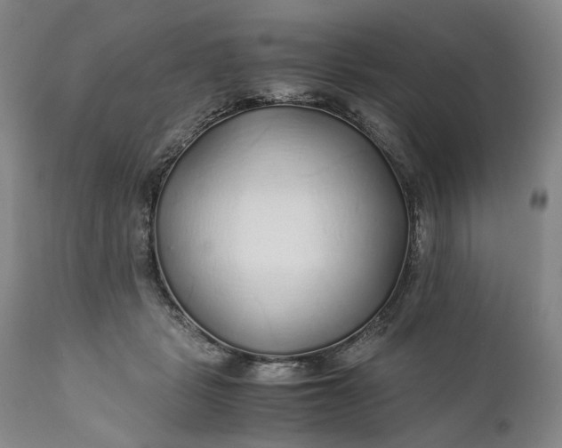 X0000110930461200907021527