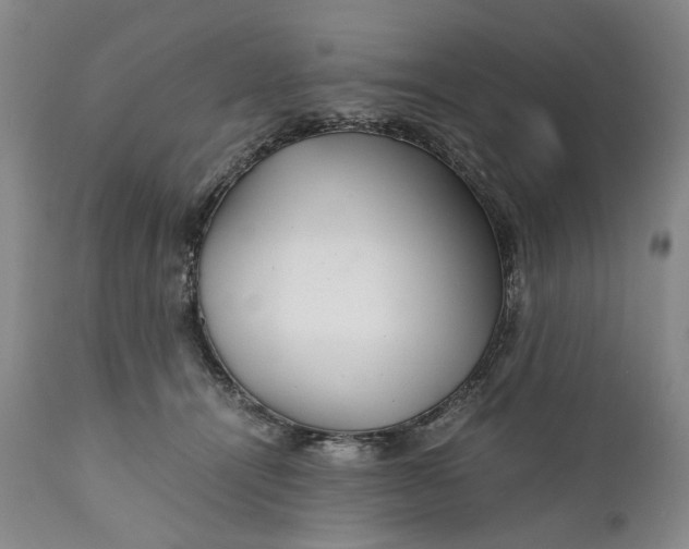 X0000110930464200907021527