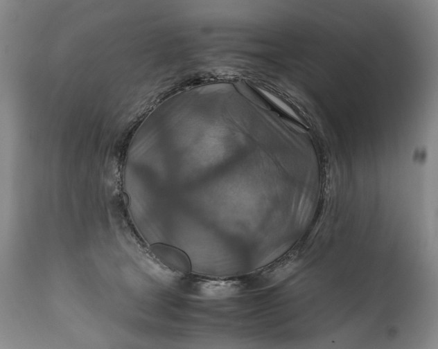 X0000110930465200907021527