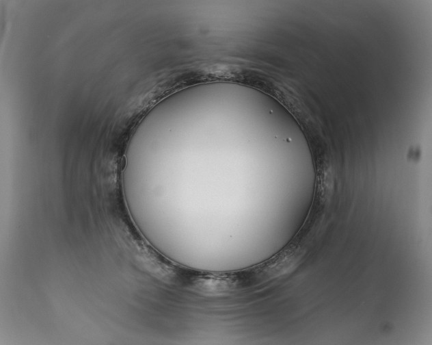 X0000110930466200907021527