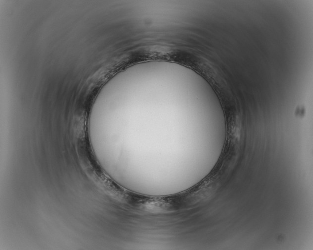 X0000110930468200907021527