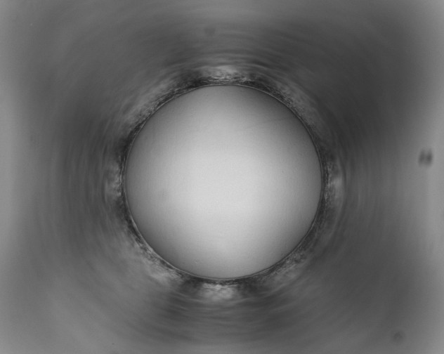X0000110930469200907021527