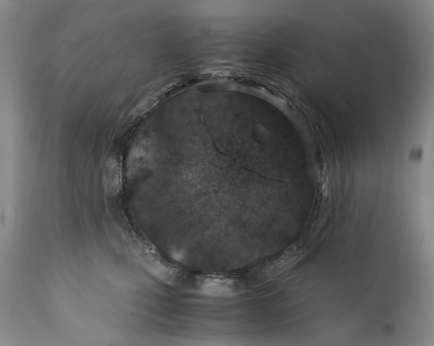 X0000110930471200907021527
