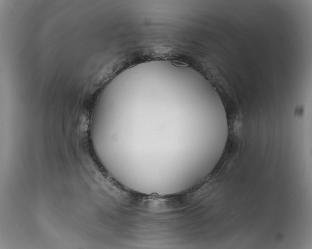 X0000110930472200907021527