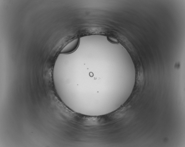 X0000110930473200907021527