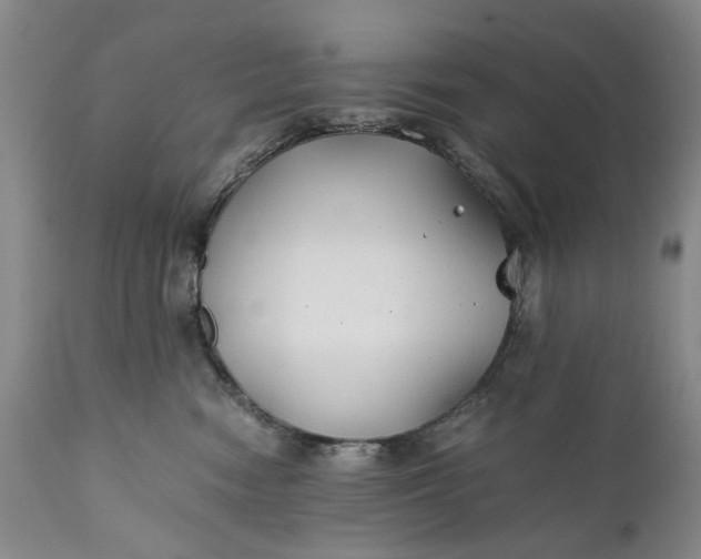 X0000110930474200907021527
